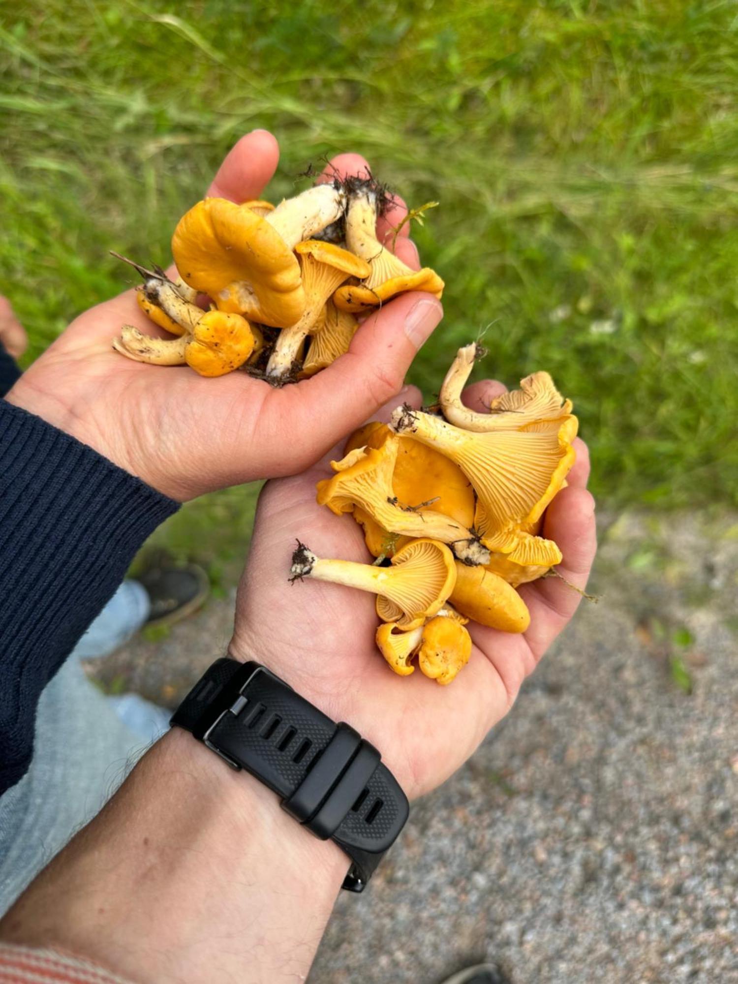 Hagbards By Gardspensionat Sloinge Eksteriør bilde